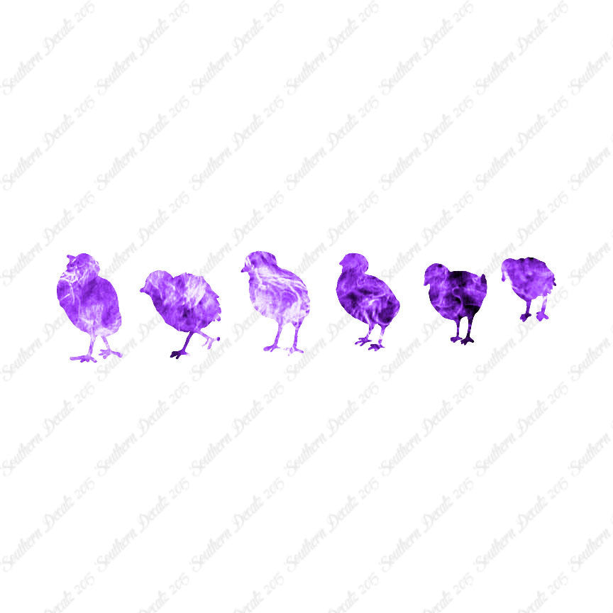 Chicks Poultry Chicken