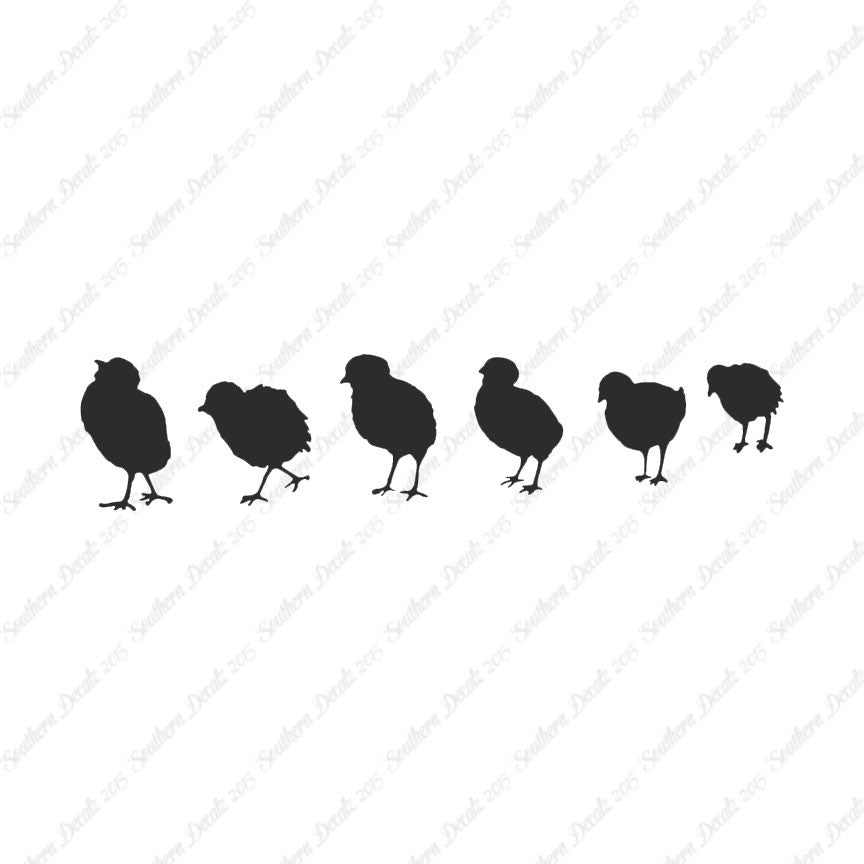 Chicks Poultry Chicken