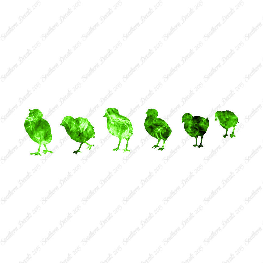 Chicks Poultry Chicken