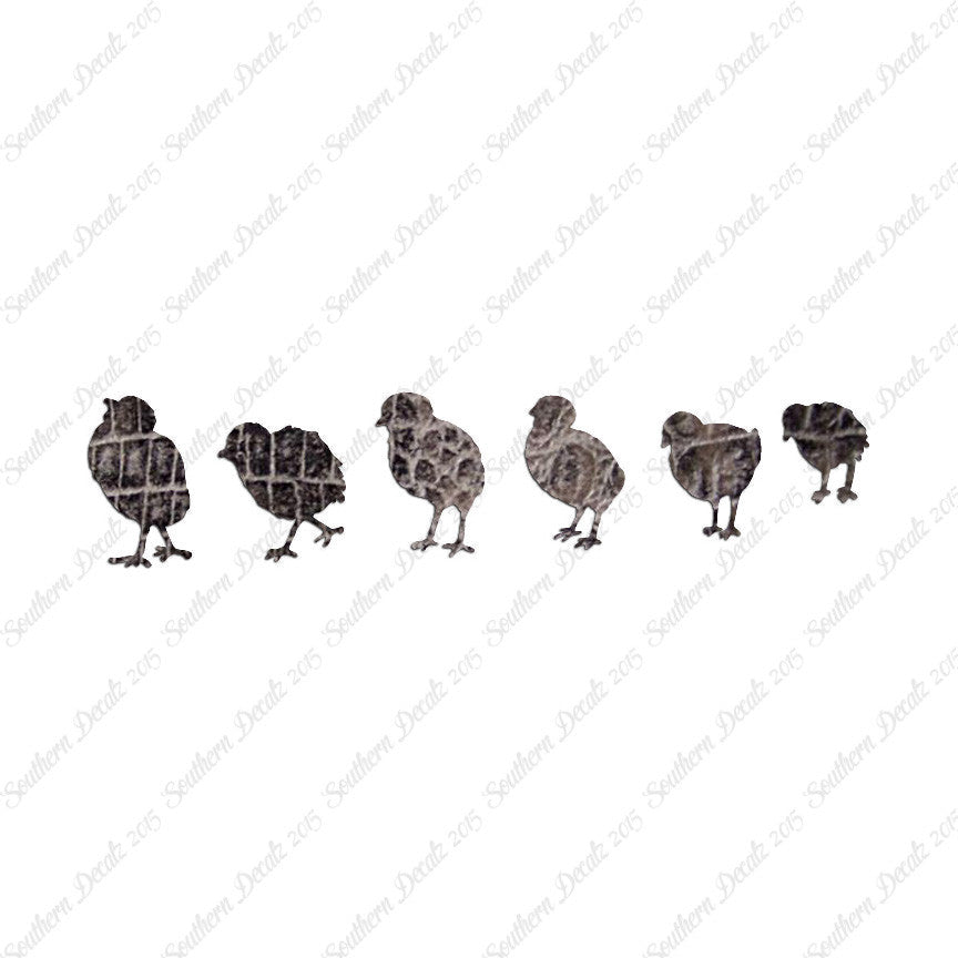 Chicks Poultry Chicken