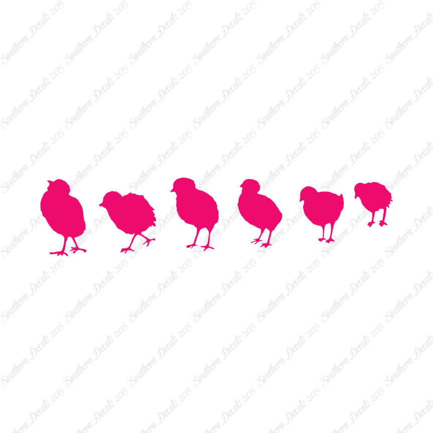 Chicks Poultry Chicken