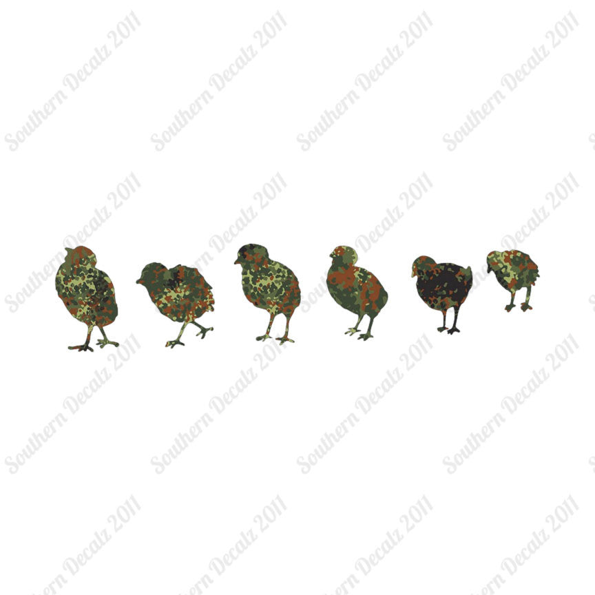 Chicks Poultry Chicken