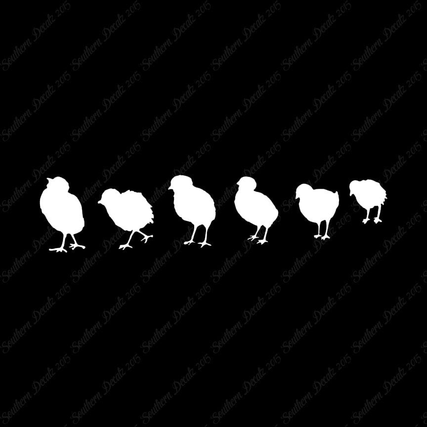 Chicks Poultry Chicken