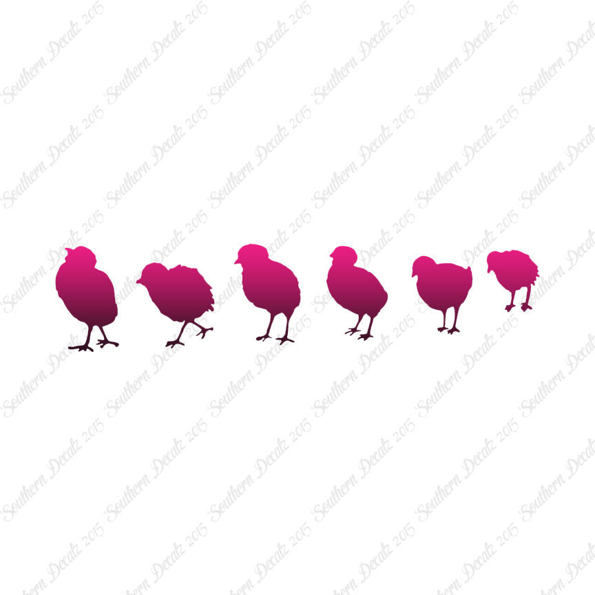 Chicks Poultry Chicken