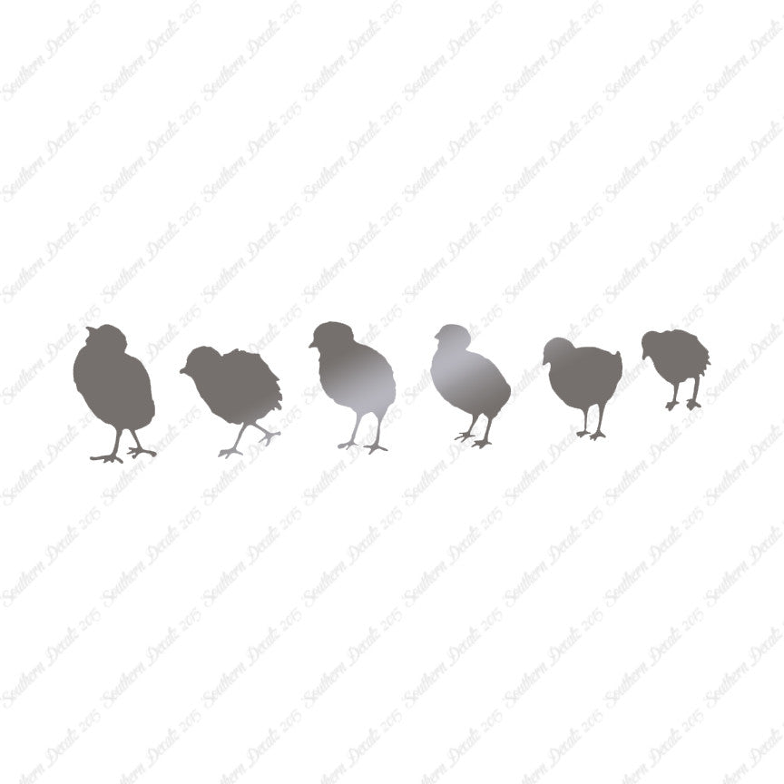 Chicks Poultry Chicken