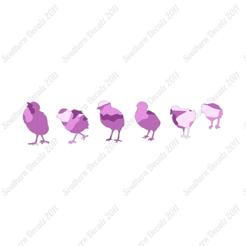 Chicks Poultry Chicken