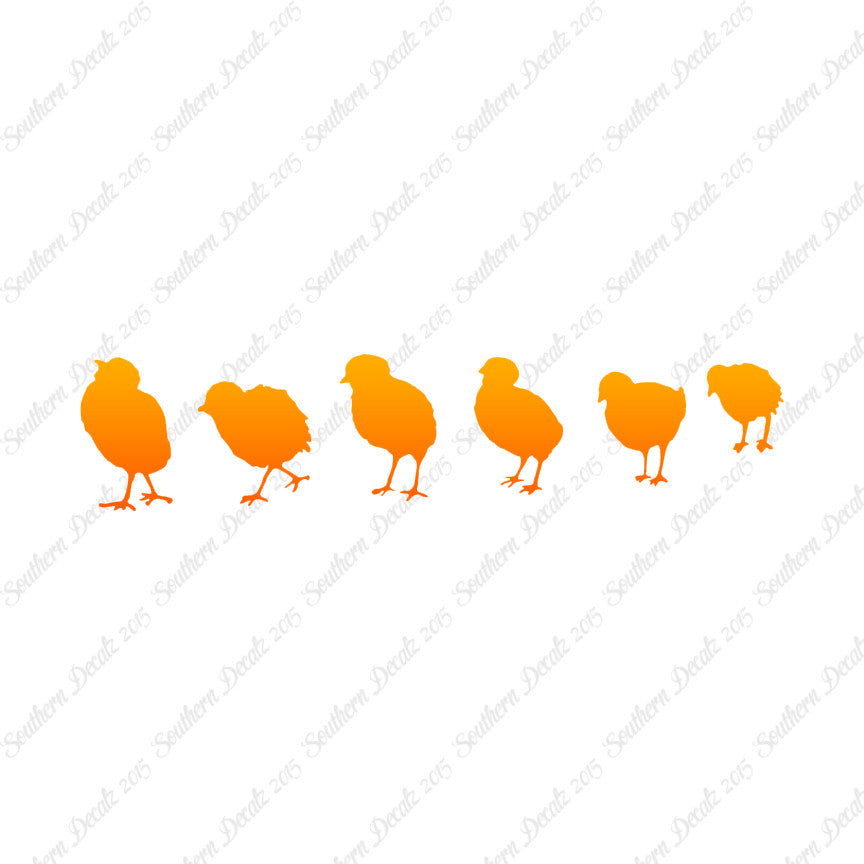 Chicks Poultry Chicken