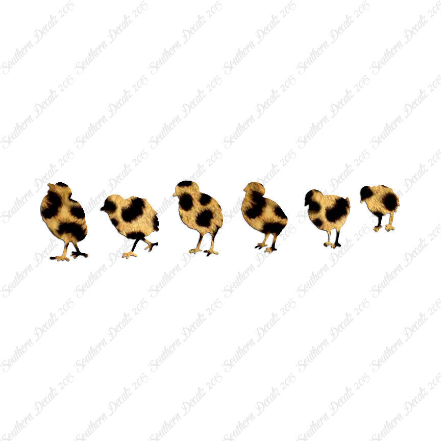 Chicks Poultry Chicken