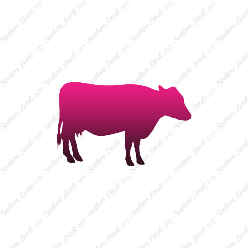 Cow Cattle Bull Steer