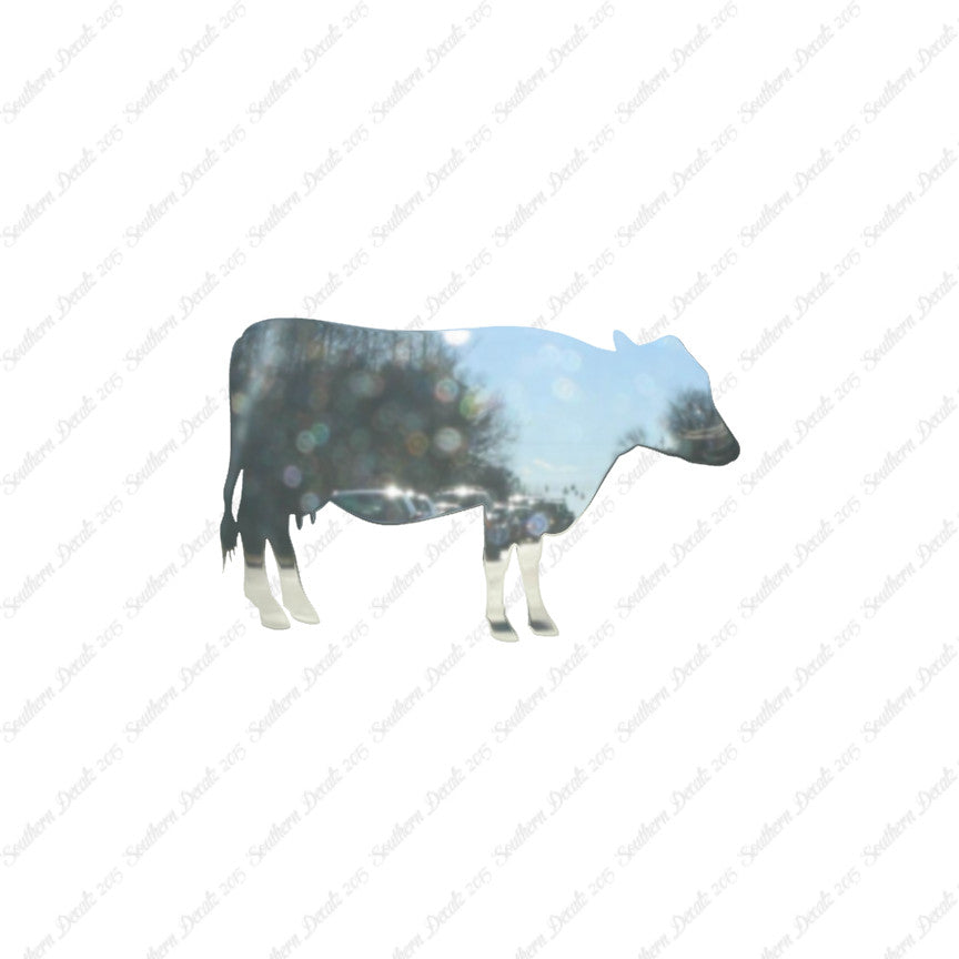 Cow Cattle Bull Steer