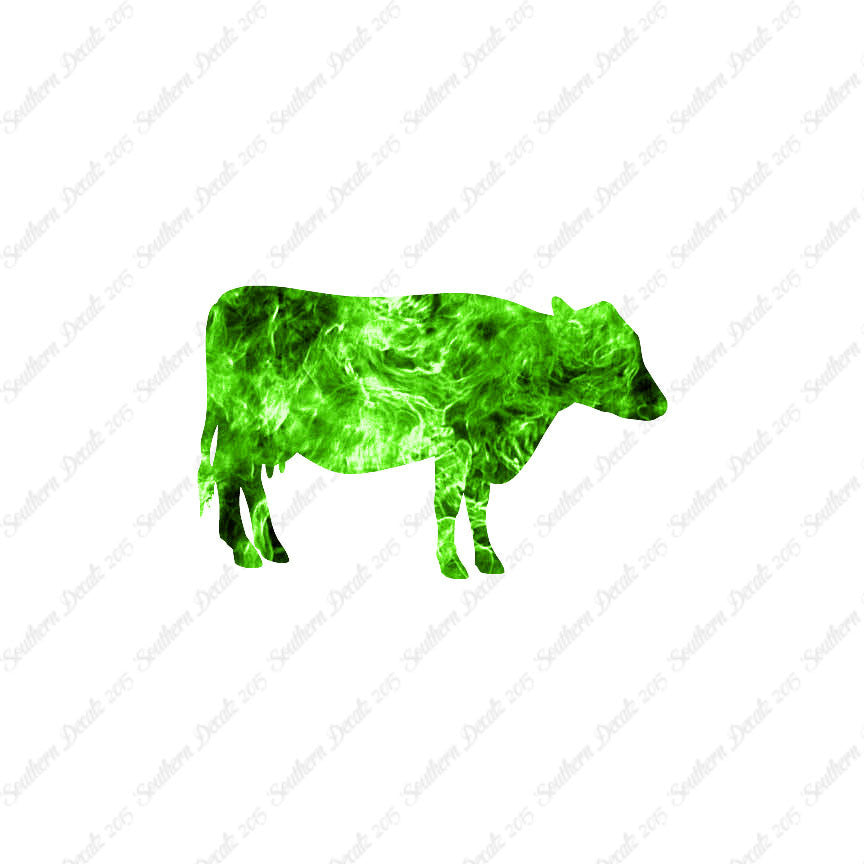 Cow Cattle Bull Steer