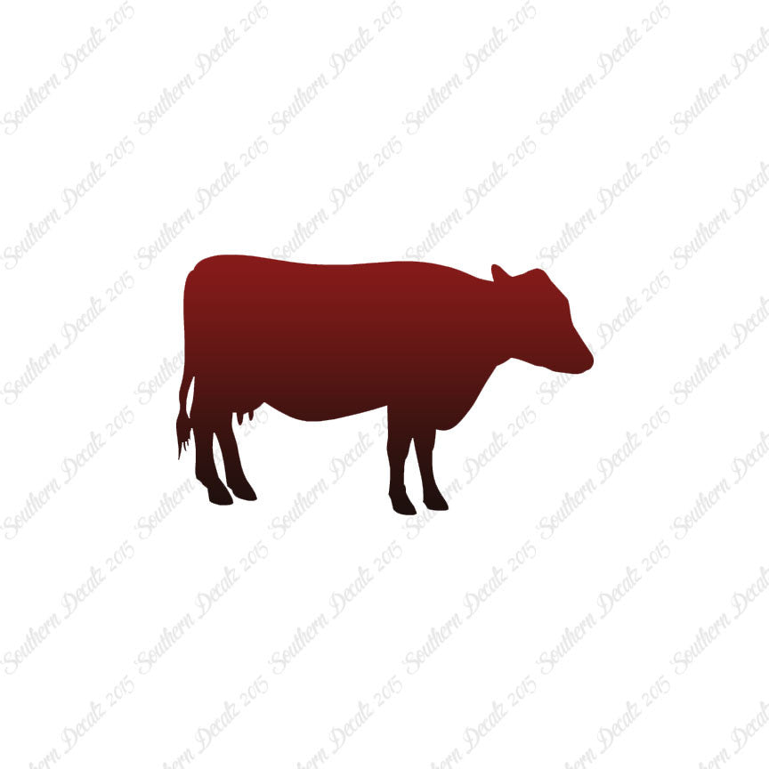 Cow Cattle Bull Steer