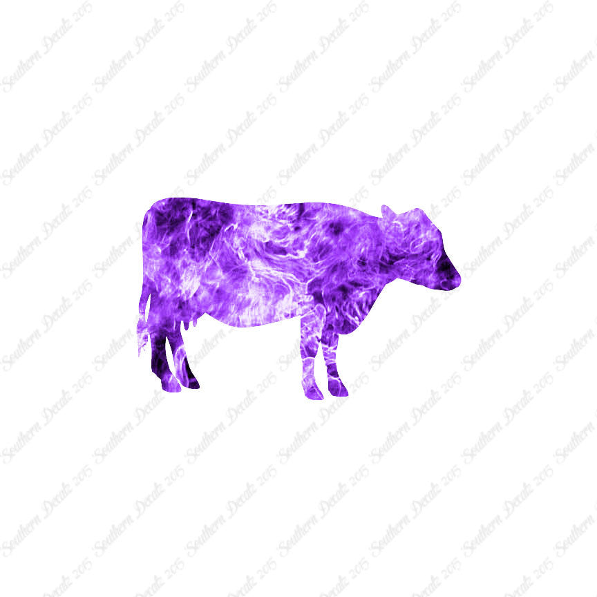 Cow Cattle Bull Steer