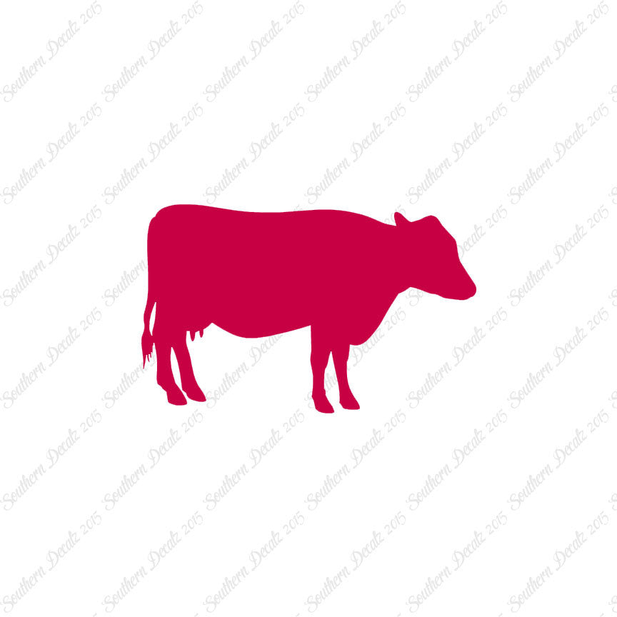Cow Cattle Bull Steer
