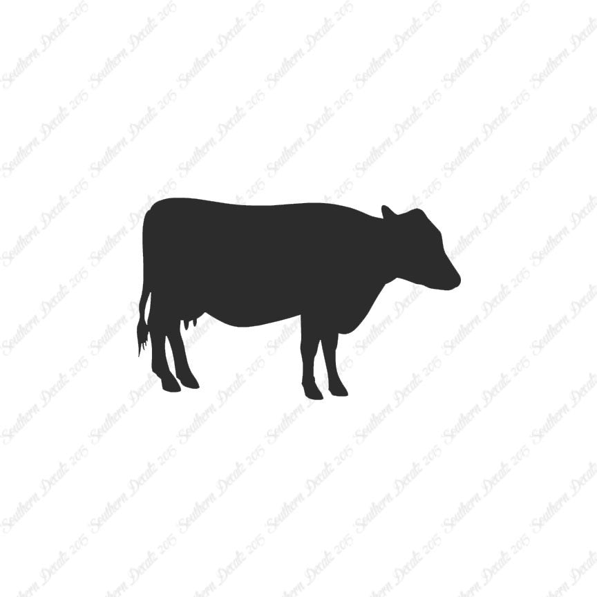 Cow Cattle Bull Steer