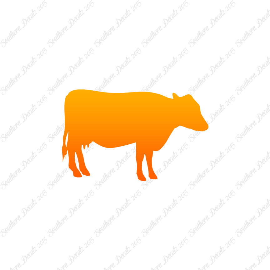 Cow Cattle Bull Steer