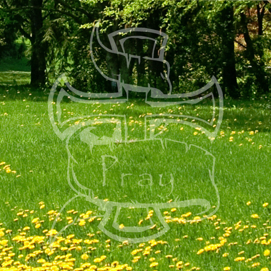 Christian Cross Pray
