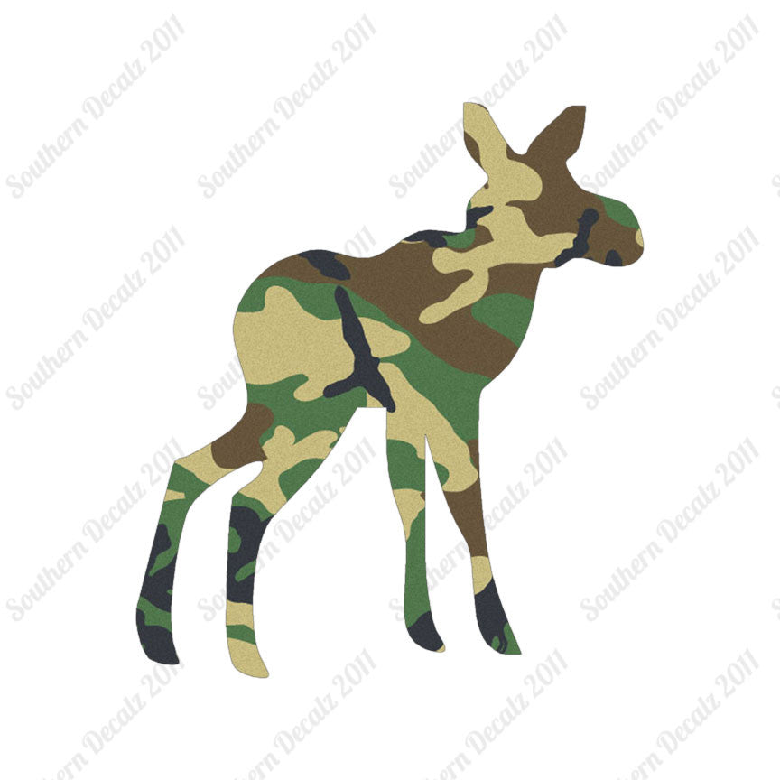Baby Moose