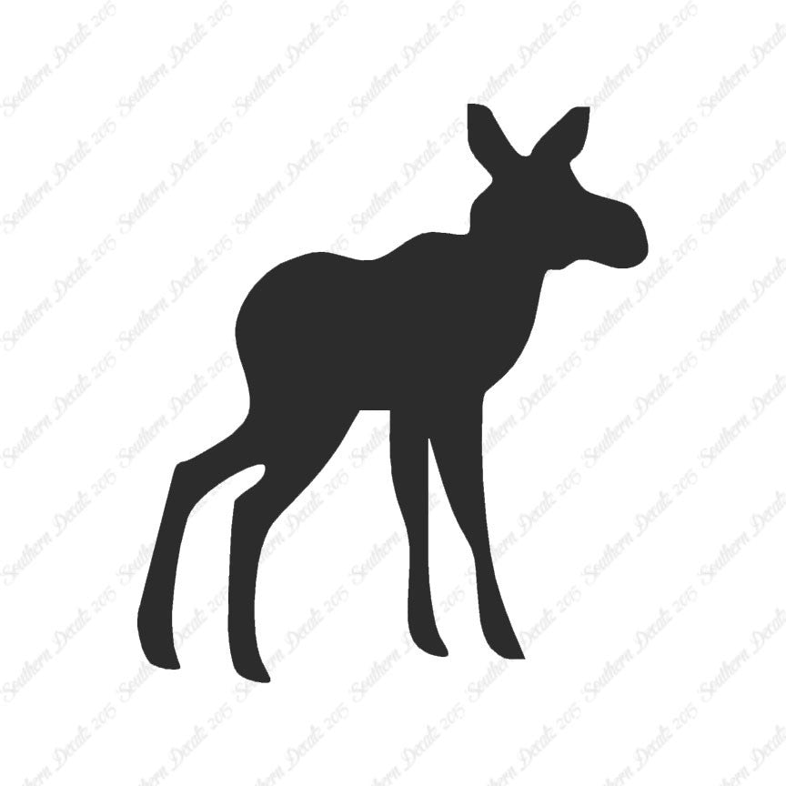Baby Moose