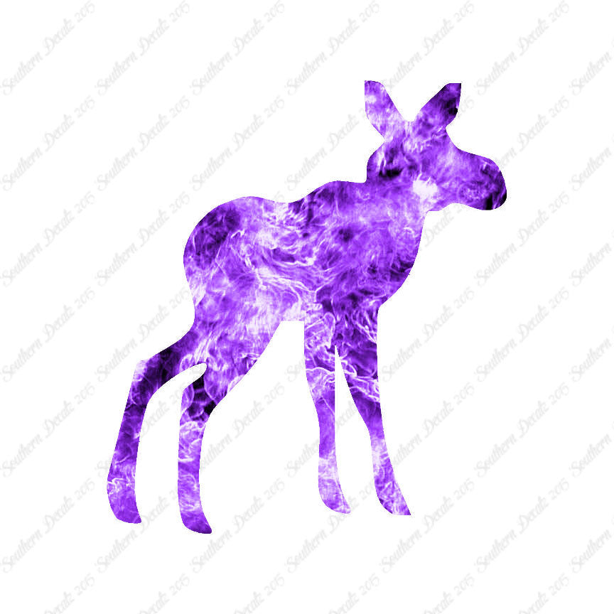 Baby Moose