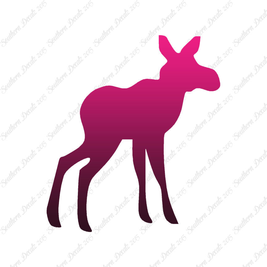 Baby Moose