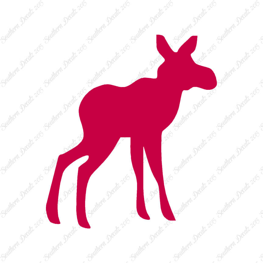 Baby Moose