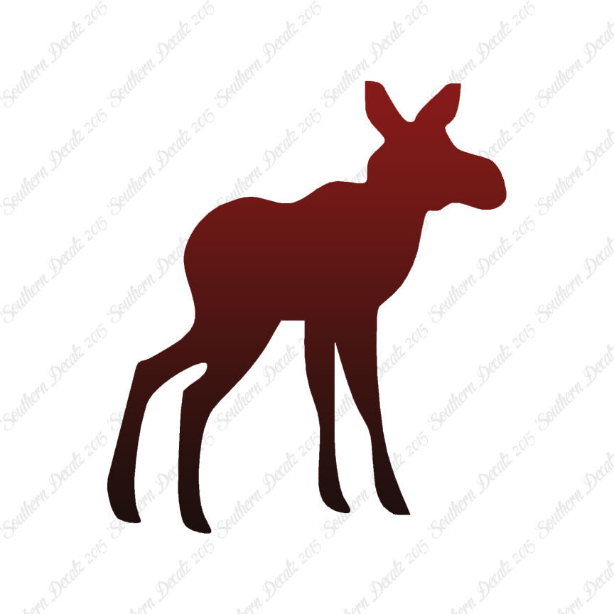 Baby Moose