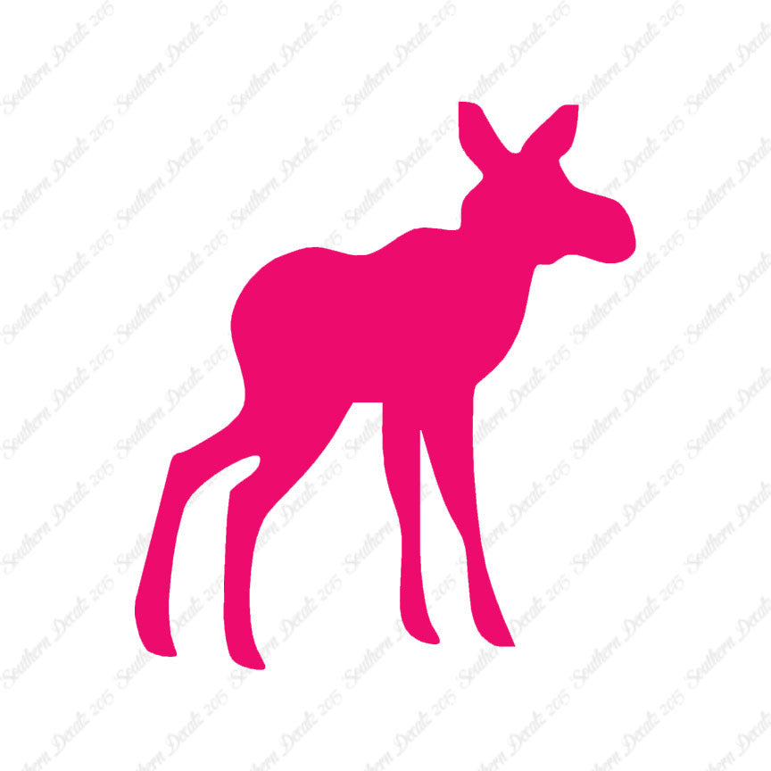 Baby Moose