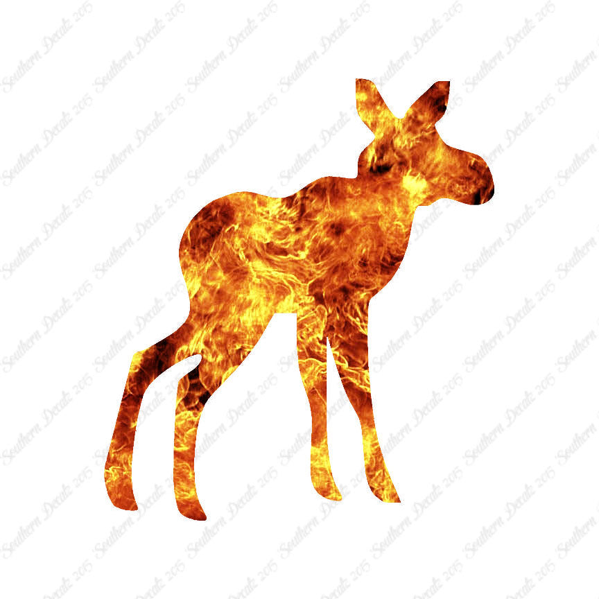 Baby Moose