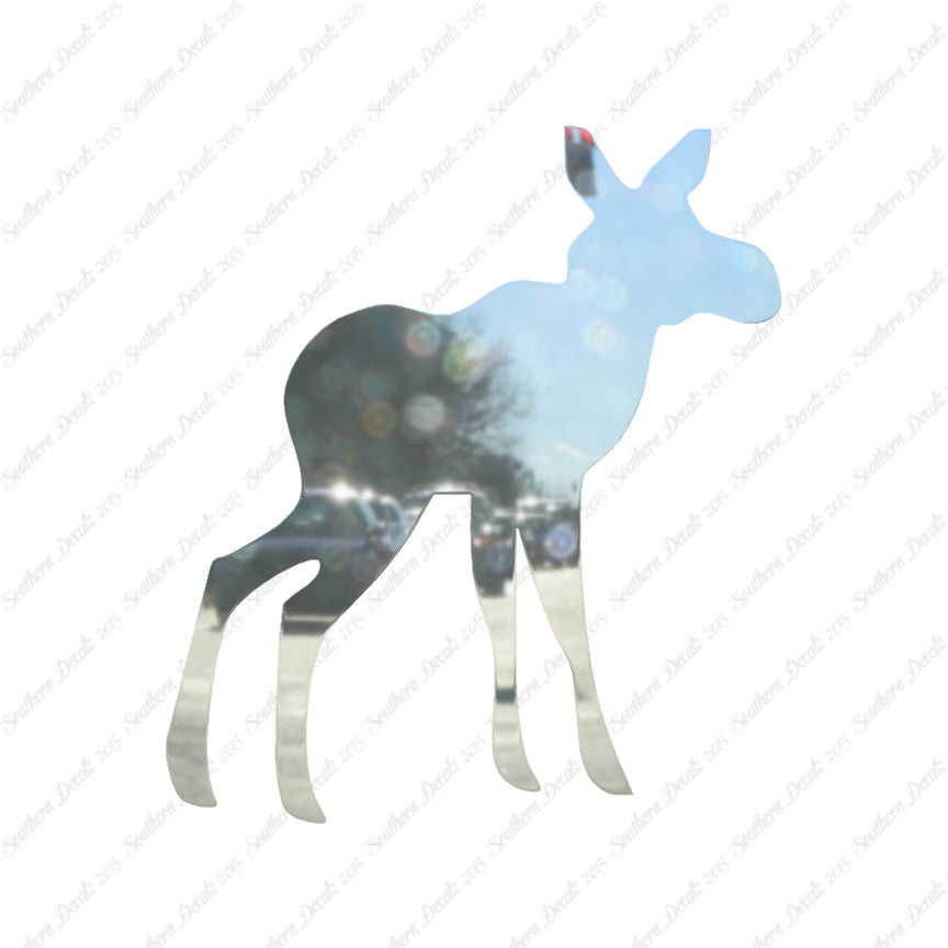Baby Moose