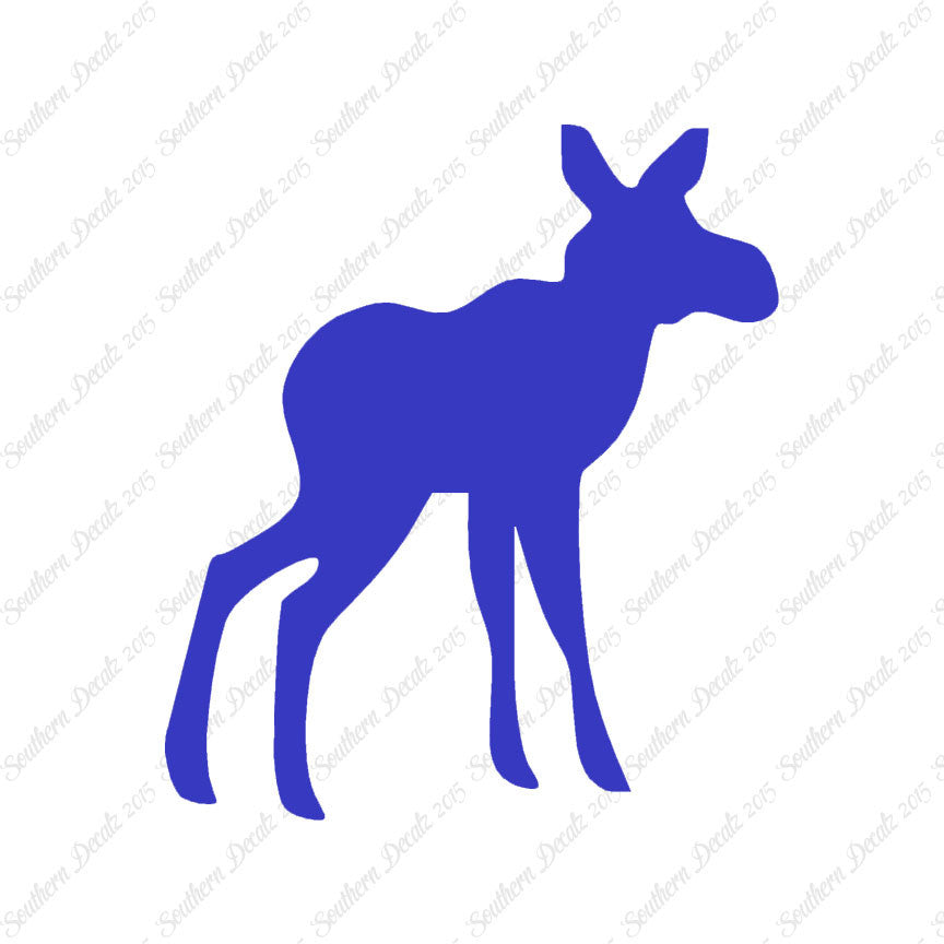 Baby Moose