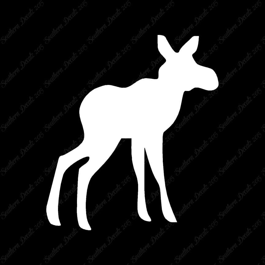 Baby Moose