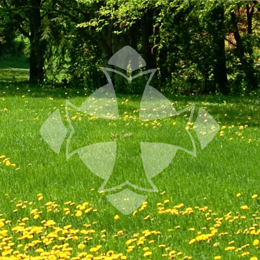 Cross Emblem