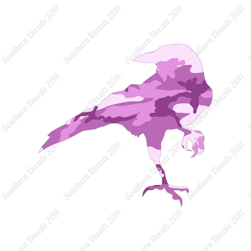 Crow Raven Jackdaw