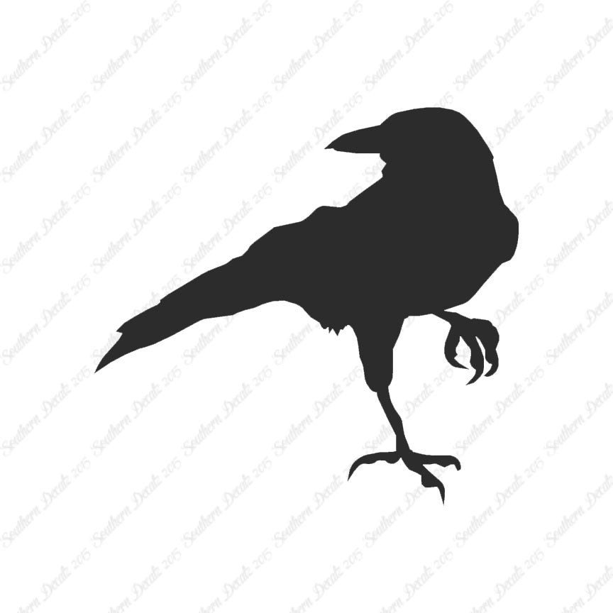 Crow Raven Jackdaw