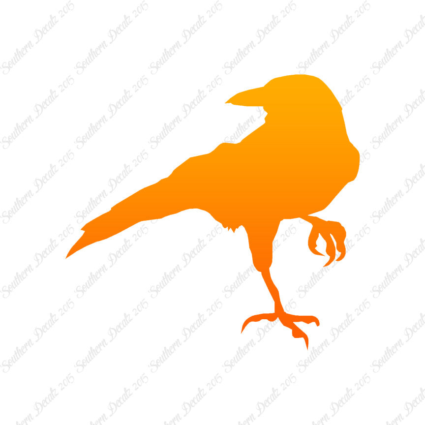 Crow Raven Jackdaw