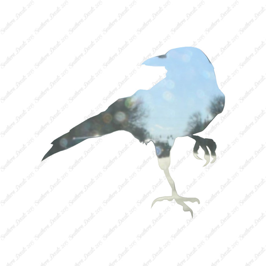 Crow Raven Jackdaw