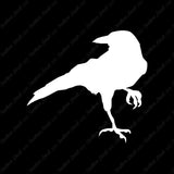 Crow Raven Jackdaw