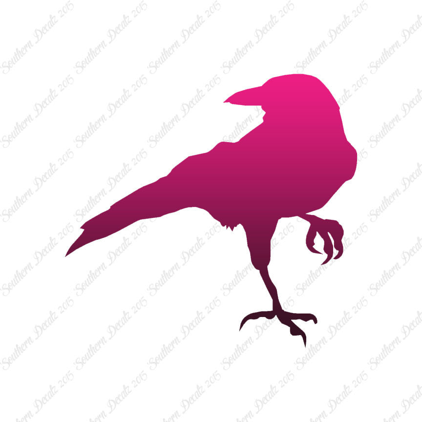 Crow Raven Jackdaw