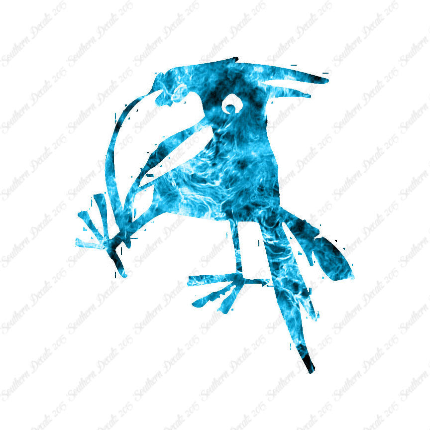 Funny Crow Jackdaw
