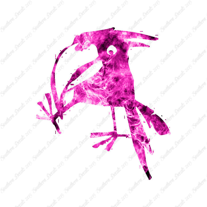 Funny Crow Jackdaw