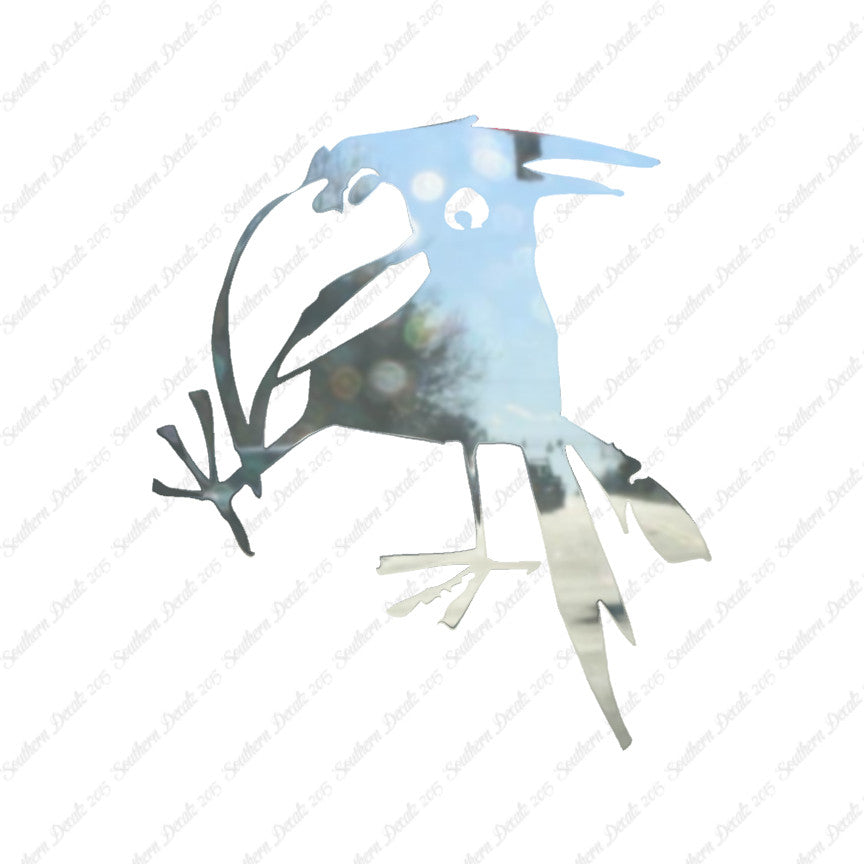 Funny Crow Jackdaw