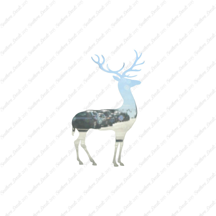 Deer Elk Antler