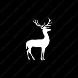 Deer Elk Antler