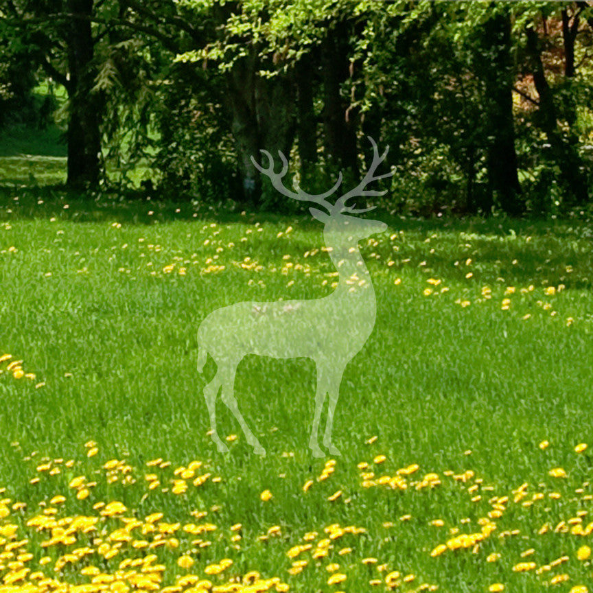 Deer Elk Antler
