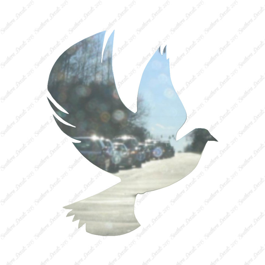 Dove Flying Bird