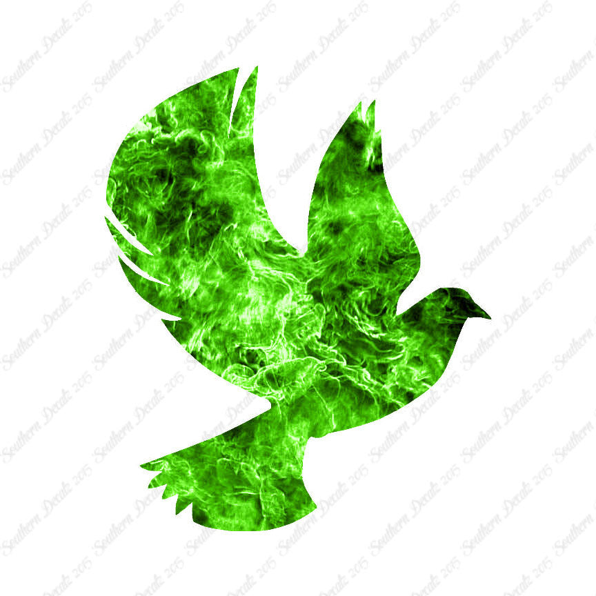 Dove Flying Bird