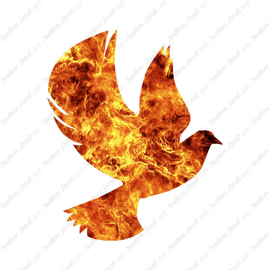 Dove Flying Bird