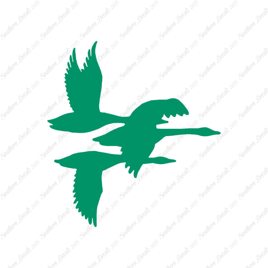 Flock Geese Duck