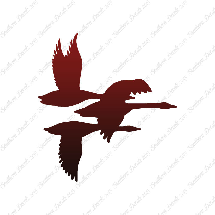 Flock Geese Duck